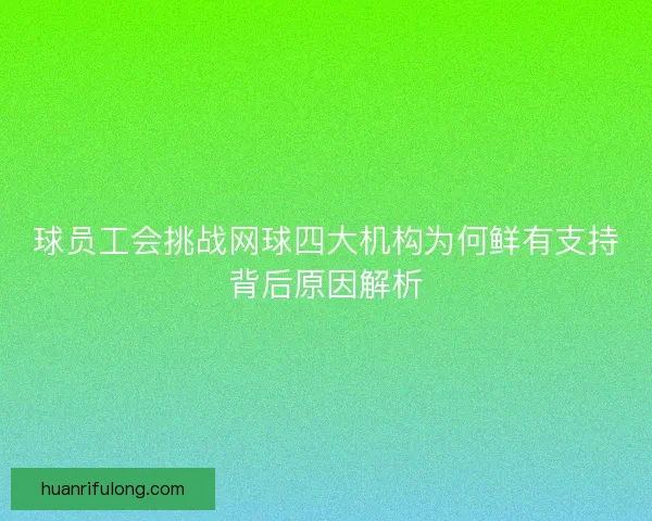 球员工会挑战网球四大机构为何鲜有支持背后原因解析